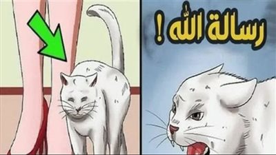 لماذا القطط تقترب منك 
