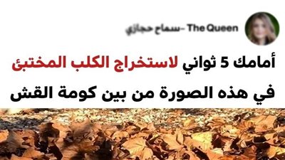 صور تدل علي قوة ملاحظتك ونسبه ذكائك 