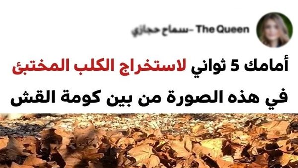 موقع أيام نيوز