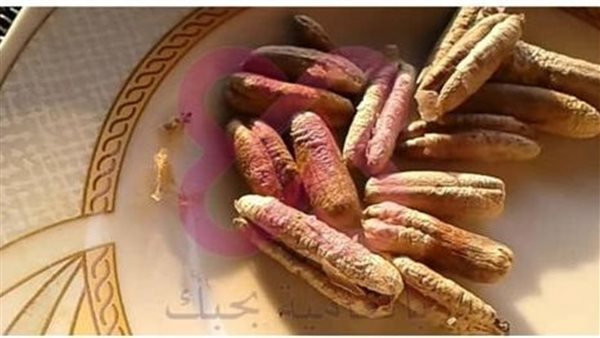 موقع أيام نيوز